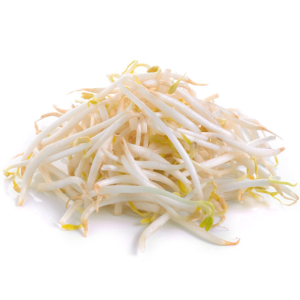 Bean Sprout
